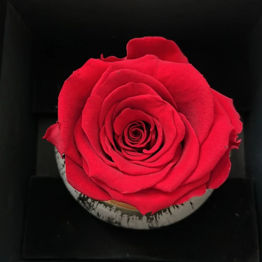 Eternal Roses Gift Box - Picture 3 of 3